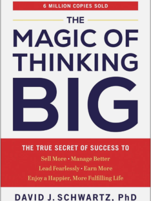 David Schwartz - The Magic Of Thinking Big